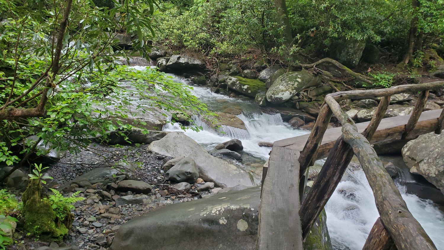 Porters Creek to Fern Falls 